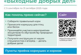 «Выходные добрых дел»!